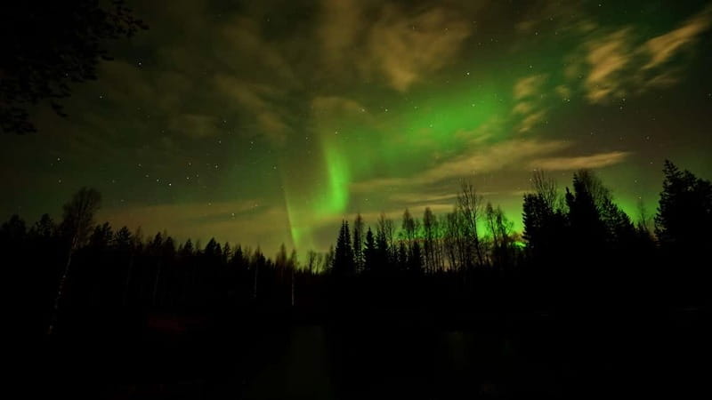 Oulu: Starguaranteed Northern Lights Mobile Chase - Driving into Northern Ostrobothnia