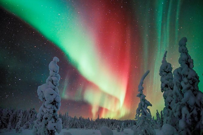 Private Aurora Tour (1-4) by Aurora Experts - Inari-Saariselkä - Why a private Aurora hunt works well in Saariselkä