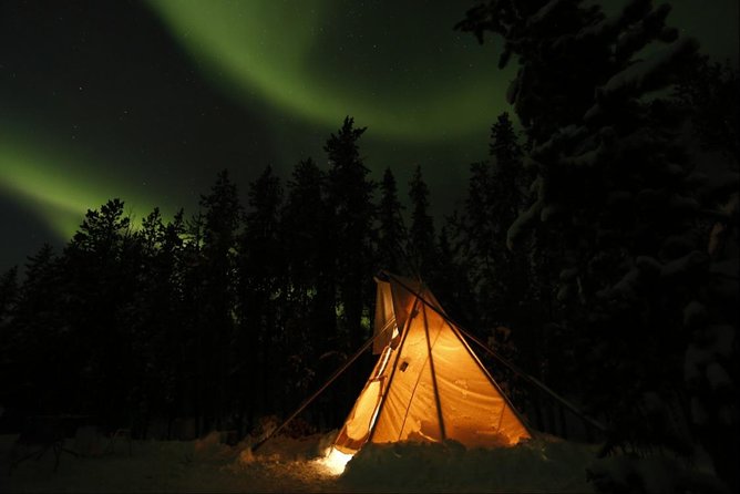 Private Aurora Viewing Experience - The Late Pickup and Four-Hour Schedule