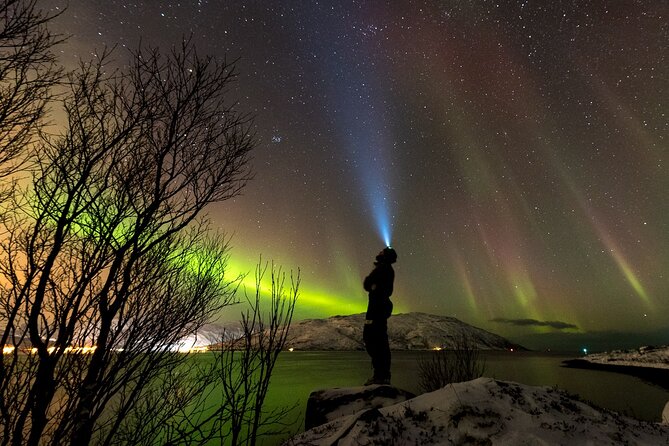 Private & Exclusive Northern Lights Tour with Professional guide - Why Tromsø works for Northern Lights hunting