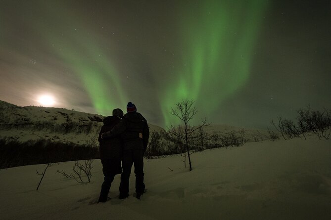 Private & Exclusive Northern Lights Tour with Professional guide - Following the coast, or turning inland for clearer skies