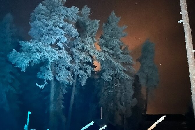 PRIVATE Glass Igloo Dinner Under Northern Lights - Should you book this private glass igloo dinner?