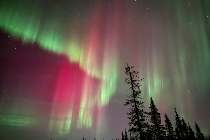 Private Group: Northern Lights Hunt 4x4 SUV with Aurora guarantee - Who will enjoy this most