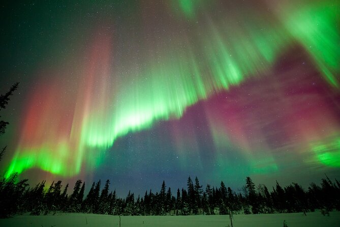 Private Group: Northern Lights Hunt 4x4 SUV with Aurora guarantee - Booking timing, cancellation, and useful planning