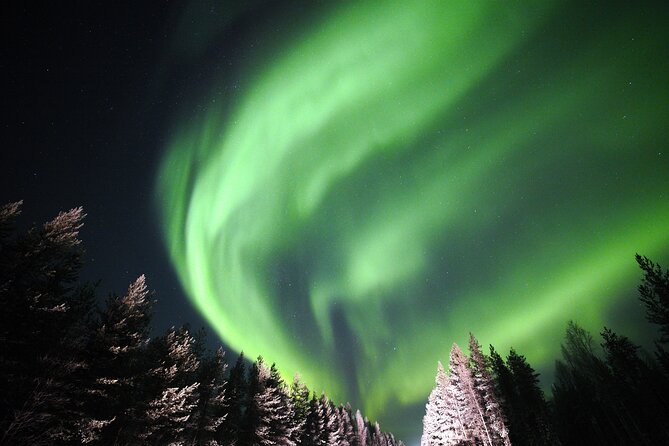 Private Group: Northern Lights Hunt 4x4 SUV with Aurora guarantee - Following the clear sky instead of a fixed itinerary