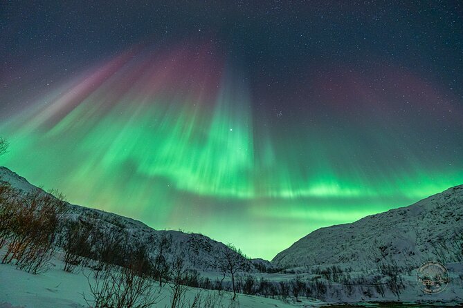 Private Northern Lights Chase with Photography from Tromsø - How the experience earns its strong rating