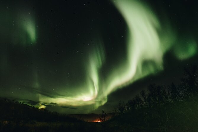 Private Northern Lights Experience - Who will get the most from this Tromsø tour