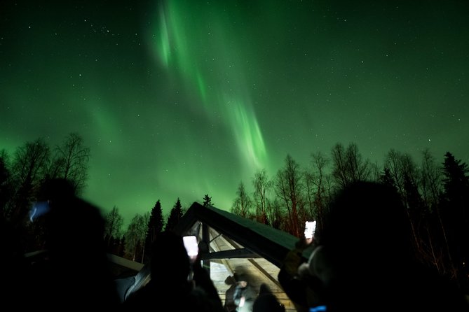 Private Northern Lights Hunting Expedition - Who will enjoy this most