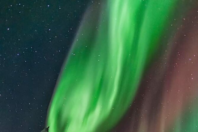 Private Northern Lights Hunting Tour Rovaniemi - What the guide adds to the night