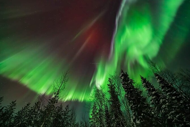 Private Northern Lights Hunting Tour Rovaniemi - Practical details that affect your decision