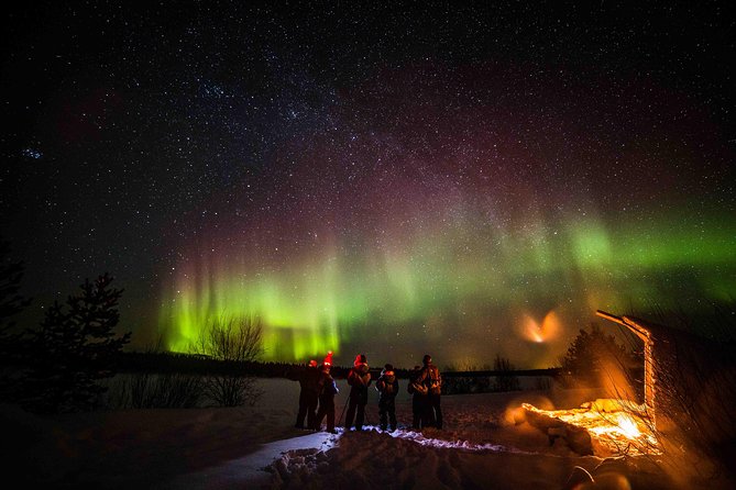 Private Northern Lights photography tour in Rovaniemi - The guides make the difference