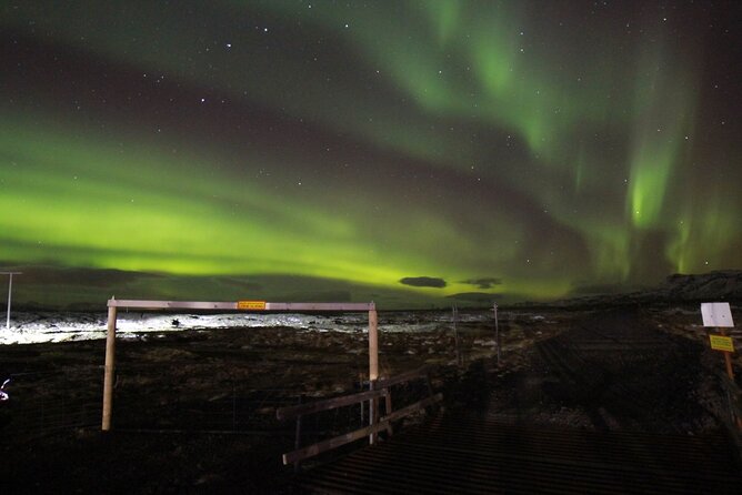 Private Northern Lights Tour - Who should book this evening search?