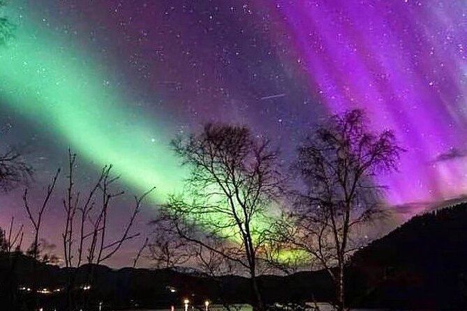 Private Northern Lights Tour from Reykjavik - What Andres adds to the night