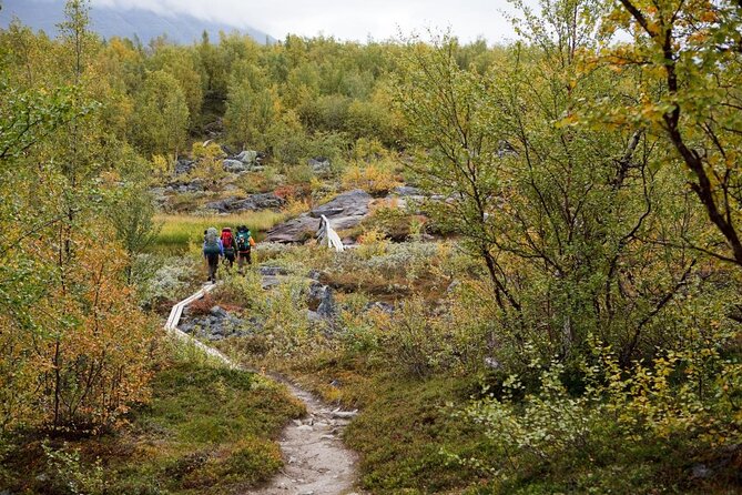 Private Northern Lights Tour With Skis Or Snowshoes in Pyhä - Key points to know before you book