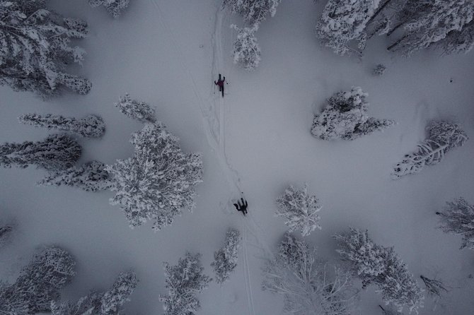 Private Northern Lights Tour With Skis Or Snowshoes in Pyhä - What this Pyhä night tour is really about