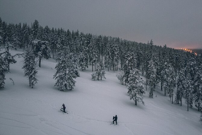 Private Northern Lights Tour With Skis Or Snowshoes in Pyhä - Searching for the Northern Lights