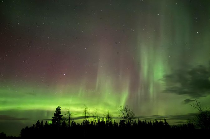 Private Northern Lights Trip To Fill All Your Dreams - What the private format means for families and couples