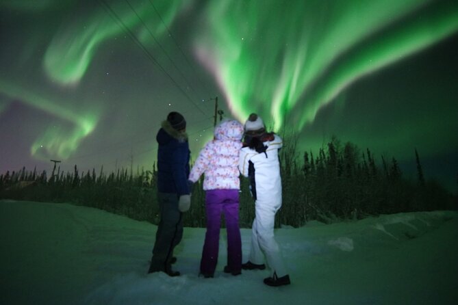 Private Tour for Chasing Northern Lights (Aurora) with PHOTO - What the Fairbanks setting adds