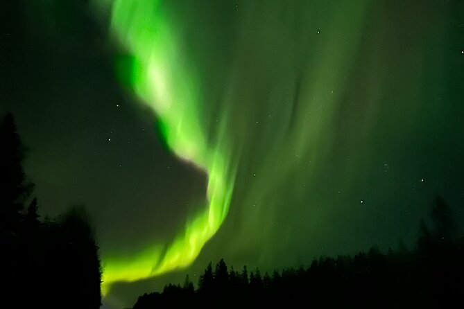 PRO Northern Lights Experience in Rovaniemi - Weather, cancellation, and the real risk
