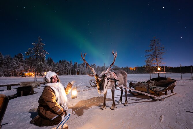 Ranua Lupland Aurora Activity Park – After Dark Adventure - Key points at a glance