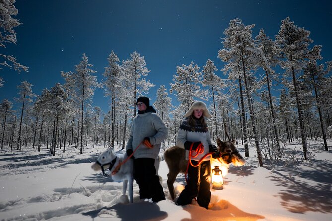 Ranua Lupland Aurora Activity Park – After Dark Adventure - Ice skating and sledding while you wait