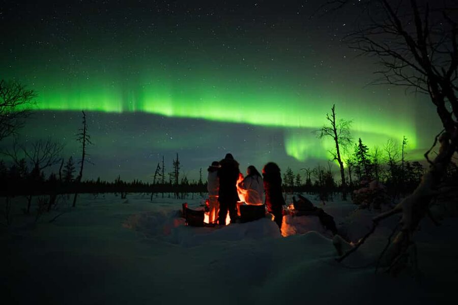 Ranua: Northern Lights tour with Campfire Meal & Pro Camera - Key points at a glance