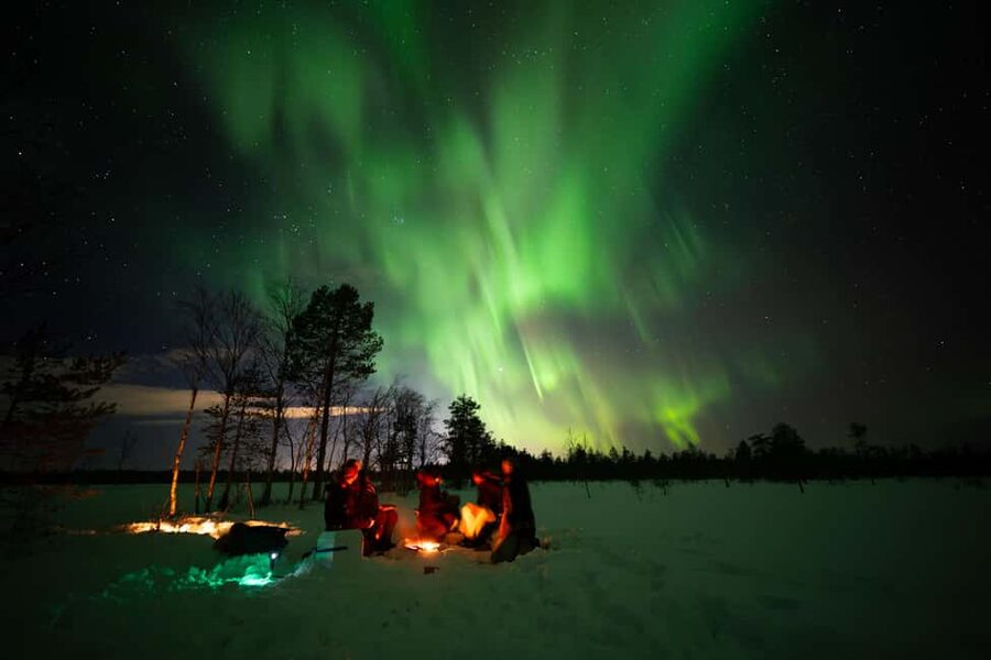 Ranua: Northern Lights tour with Campfire Meal & Pro Camera - Is $317 a fair price?
