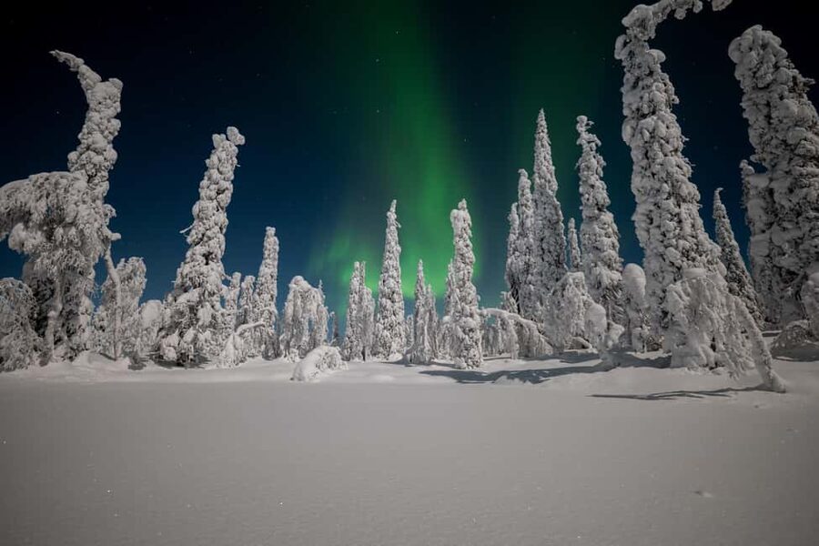 Ranua: Northern Lights tour with Campfire Meal & Pro Camera - Who will enjoy this Ranua outing