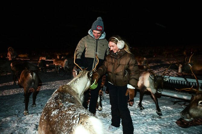 Reindeer Camp Dinner with Chance of Northern Lights in Tromso - Watching for the Northern Lights