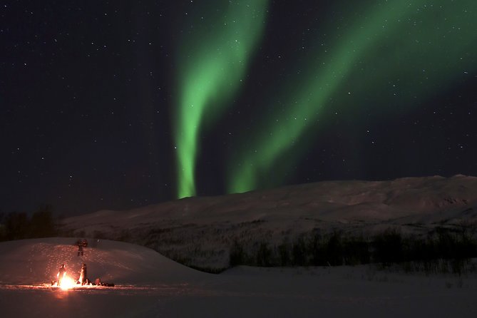 Reindeer feeding & Saami Culture with chance for Northern Lights - Booking details worth knowing