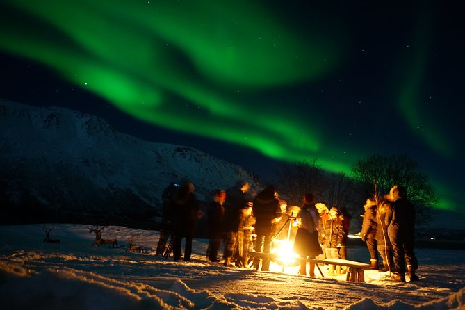 Reindeer feeding & Saami Culture with chance for Northern Lights - What the Sámi part adds