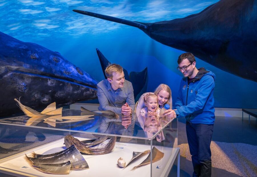 Reykjavik: 2-Hour Northern Lights by Boat with Backup Plan - The guides make the waiting worthwhile