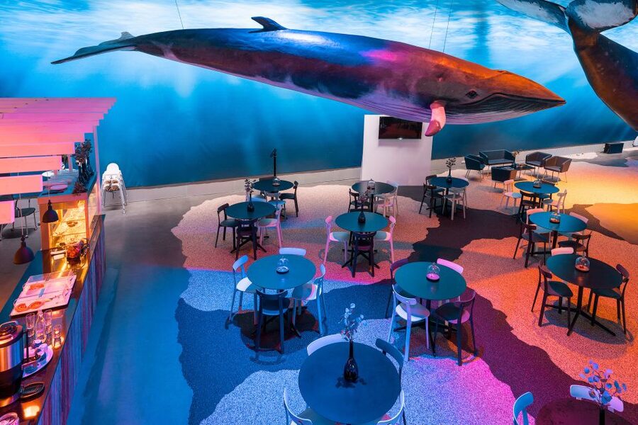 Reykjavik: 2-Hour Northern Lights by Boat with Backup Plan - Who will enjoy this outing most?