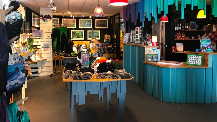 Reykjavik: Aurora Reykjavik The Northern Lights Center Entry - Café and shop add a pleasant finish