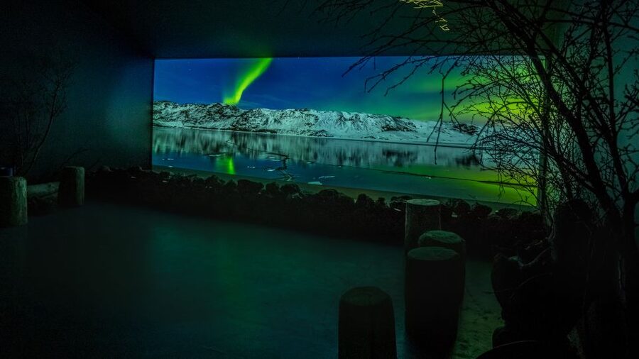 Reykjavik: Aurora Reykjavik The Northern Lights Center Entry - Folklore first, then the science