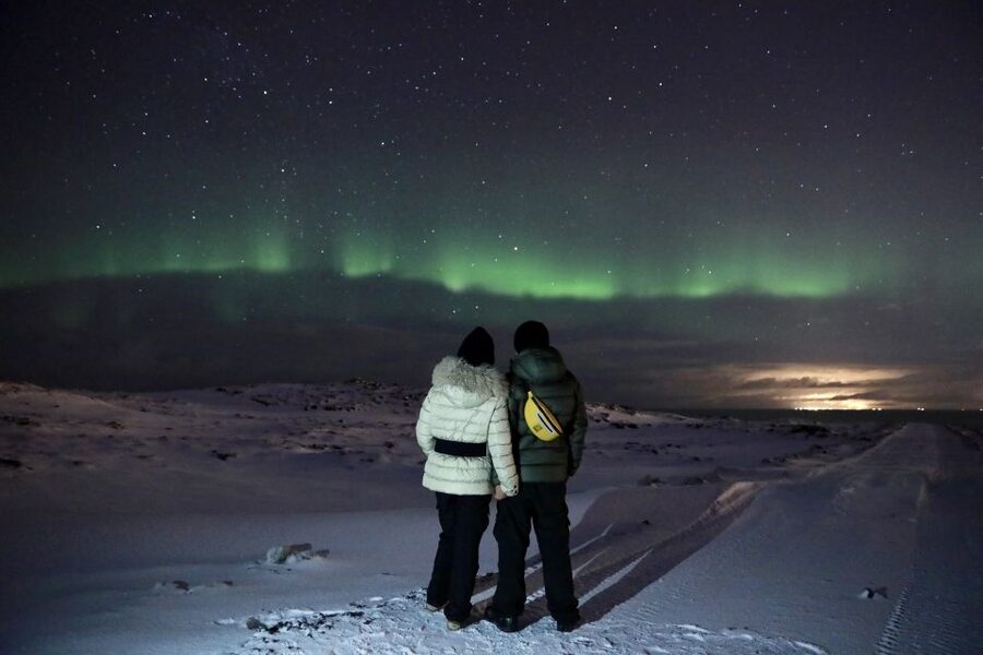 Reykjavík: Golden Circle, Blue Lagoon & Northern Lights Tour - Geysir and the geothermal valley