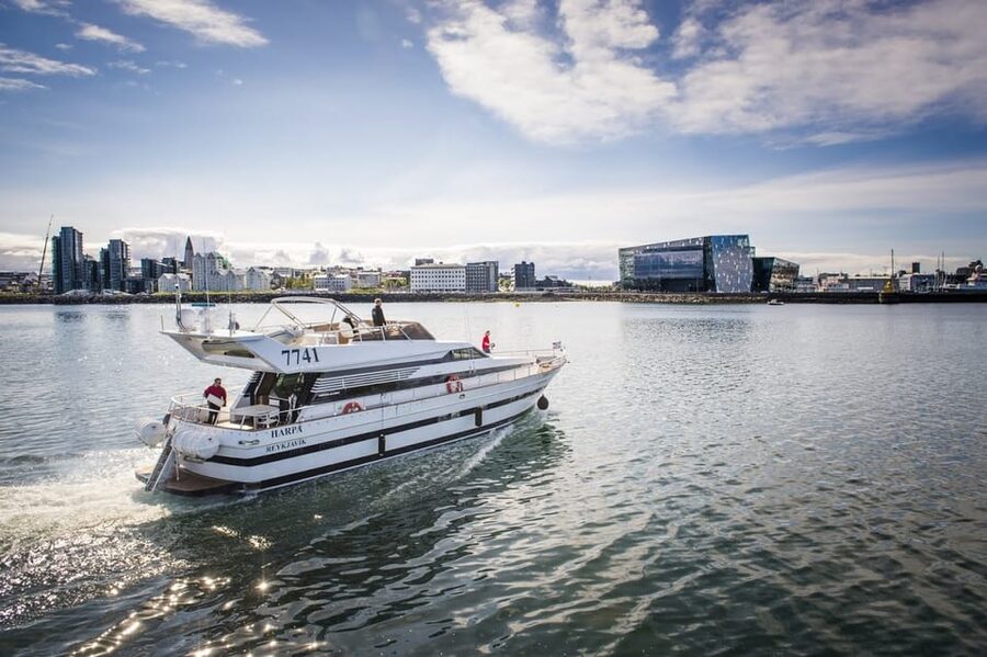 Reykjavík: New Year's Eve Northern Lights Yacht Cruise - Why This Cruise Makes New Year’s Eve Different