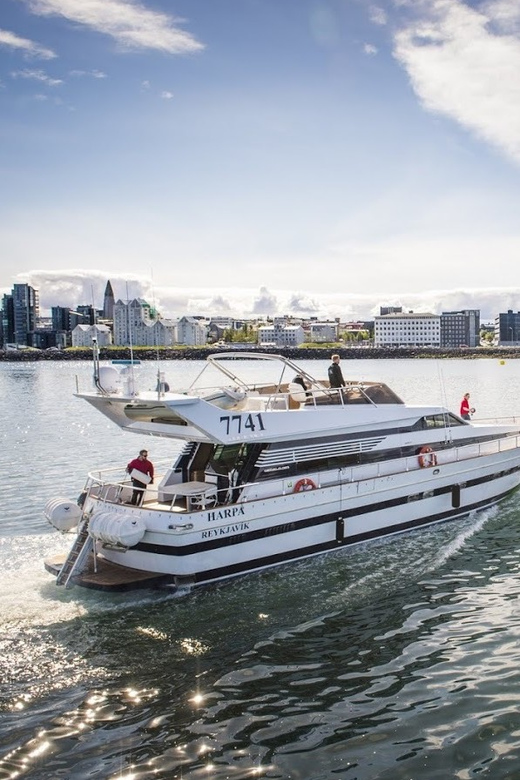 Reykjavík: New Year's Eve Northern Lights Yacht Cruise - What the 1.5-Hour Timing Means
