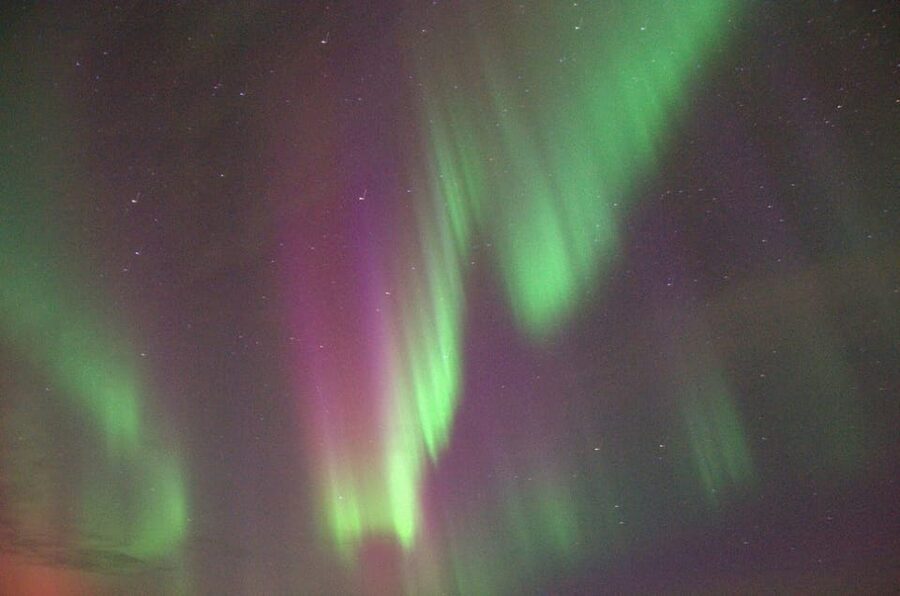 Reykjavík: New Year's Eve Northern Lights Yacht Cruise - Comfort, Seasickness, and Who Should Go