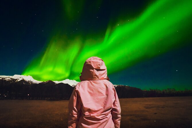 Reykjavik: Northern Lights Comfort Coach with Surprise - Leaving Reykjavik in a warm coach