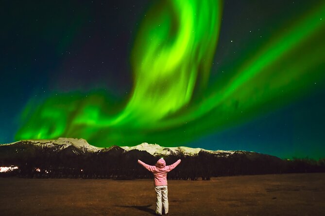 Reykjavik: Northern Lights Comfort Coach with Surprise - Is $72 a fair price?