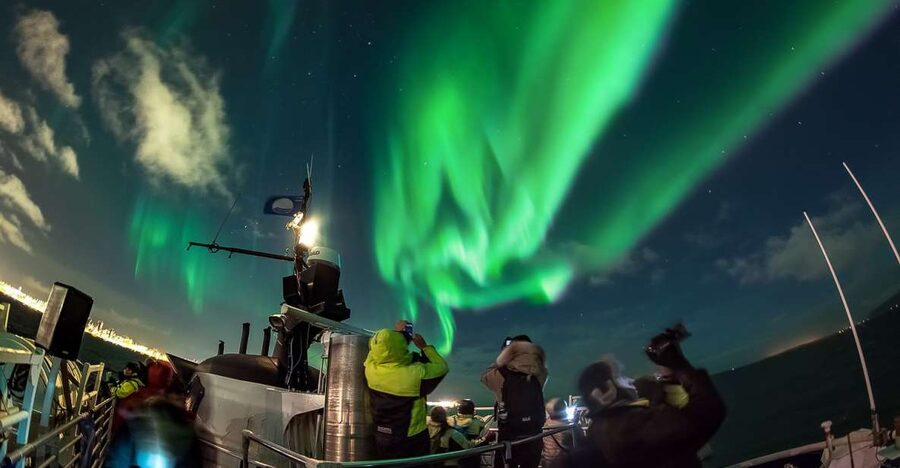 Reykjavik: Northern Lights Guided Boat Tour - Key points before you book