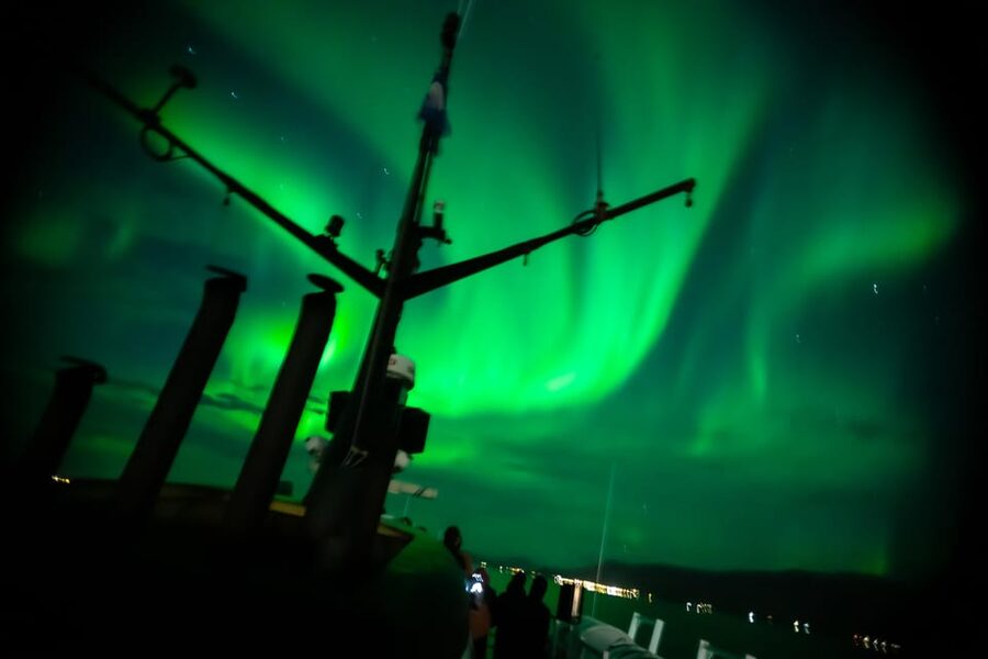 Reykjavik: Northern Lights Guided Boat Tour with Photos - Booking advice for weather and timing
