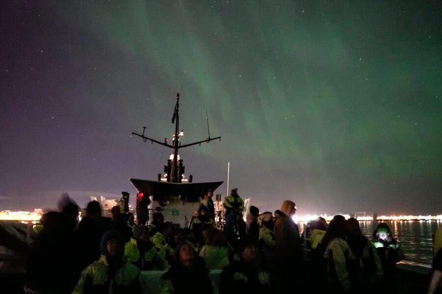Reykjavik: Northern Lights Guided Boat Tour with Photos - What the two-hour search feels like