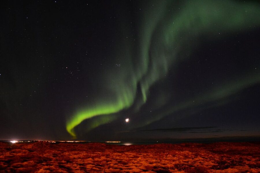 Reykjavik: Northern Lights Motor Yacht Cruise - Should you book the Northern Lights Motor Yacht Cruise?