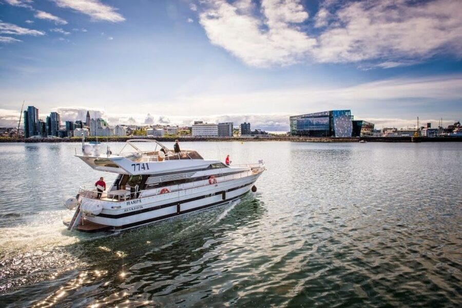 Reykjavik: Northern Lights Motor Yacht Cruise - What the northern lights look like from the bay