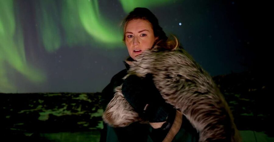 Reykjavik: Northern Lights Tour w/Pro Photos - Small Group - The quick take