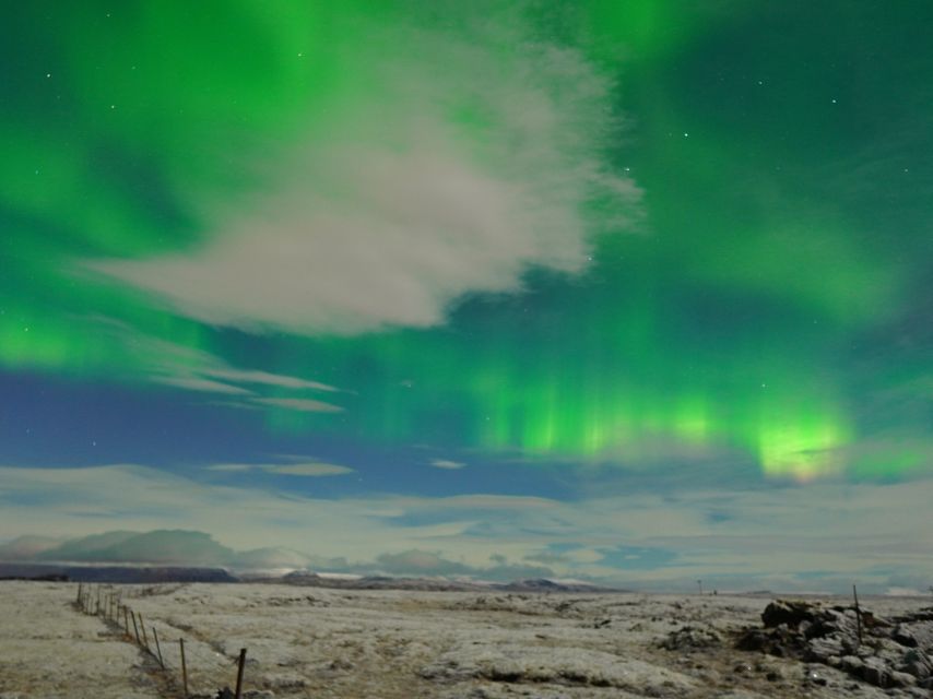 Reykjavik: Northern Lights Tour w/Pro Photos - Small Group - Who should book it?