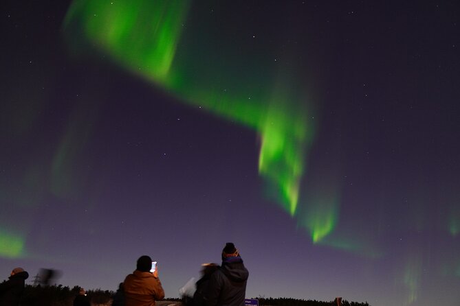 Reykjavik Northern Lights Tour with Pro Aurora Photos Small Group - The free retry policy is the safety net