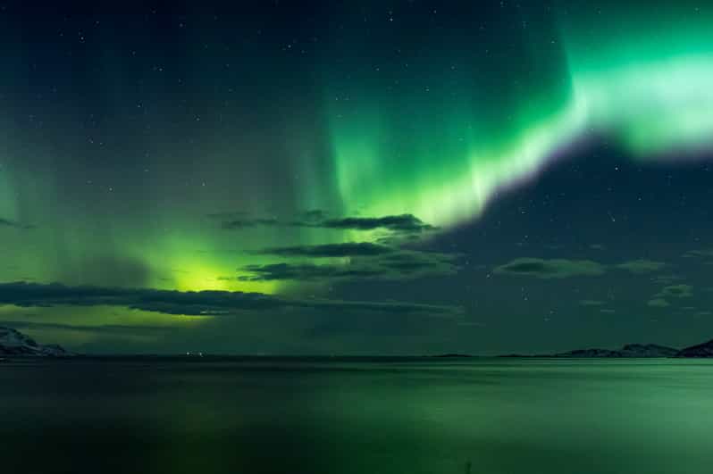 Reykjavik: Northern Lights with Icelandic Treats - Key points to know before booking